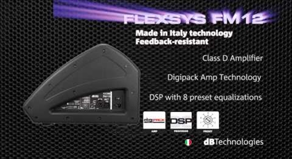 flexsys fm12