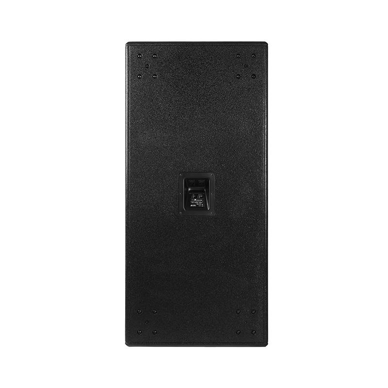 DVX PSW218 back