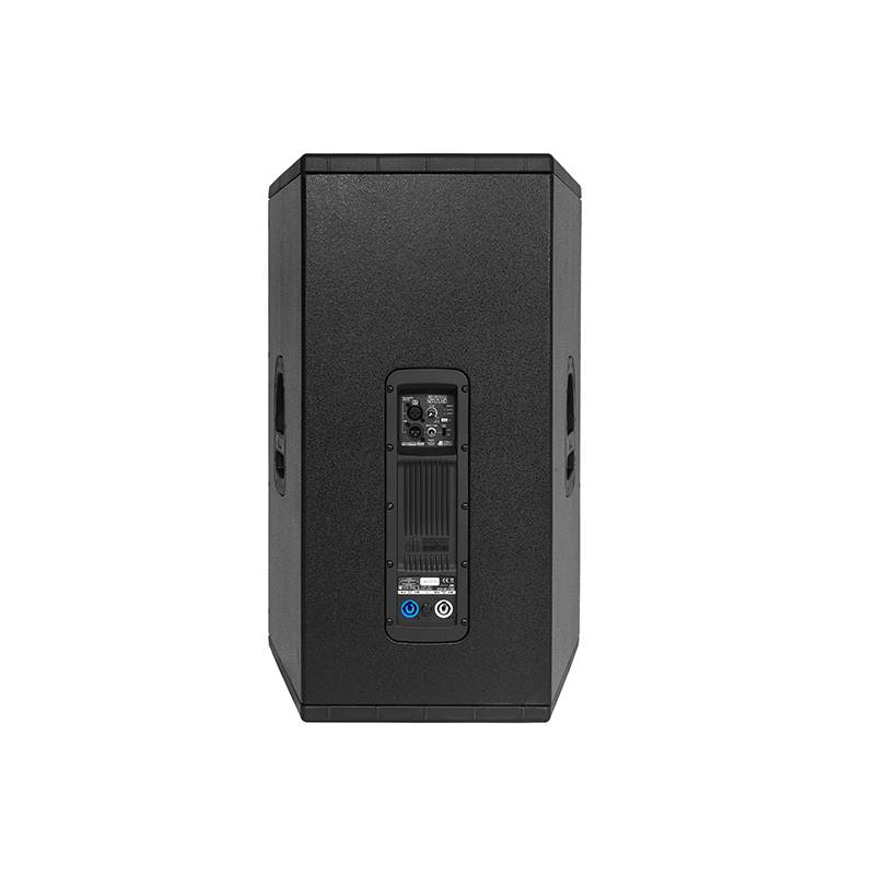 Sigma S115 back