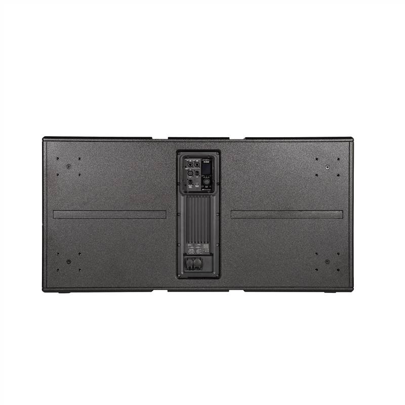 IGS2 Rear