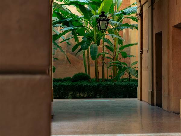  - Museo-della-Musica_Bologna_IS210T049