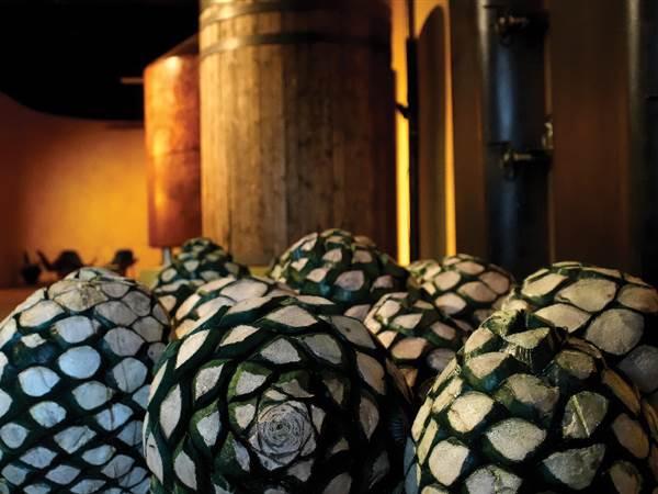 - Distillery-La-Rojena-copy